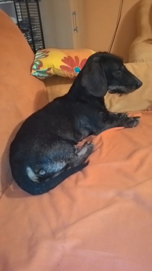 Keď som doma len s pánom :-)