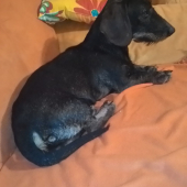 Keď som doma len s pánom :-)