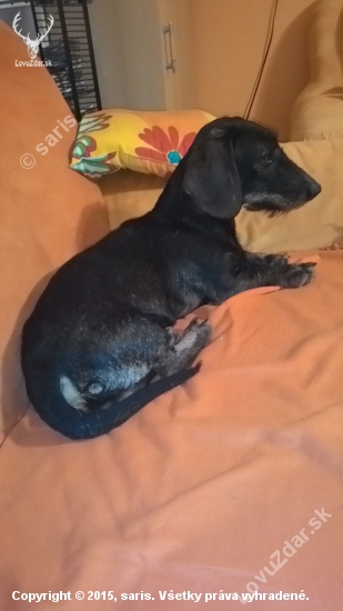 Keď som doma len s pánom :-)