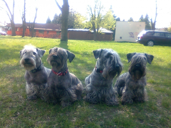 rodinné stretnutie 2