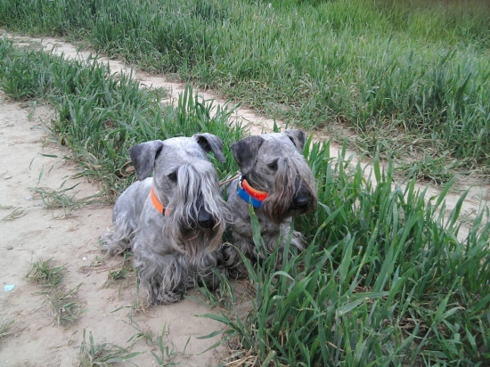 Tlmenie škodnej nácvik 2