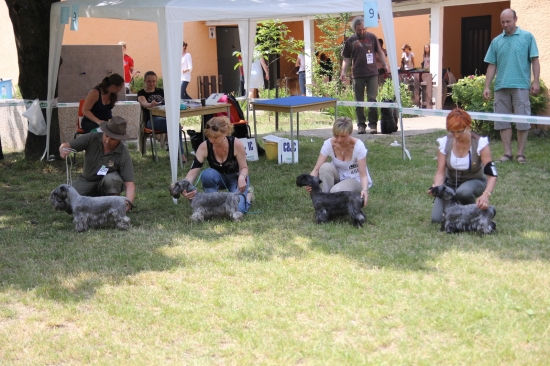 Top 4-ka o BOBíka....NVP SC