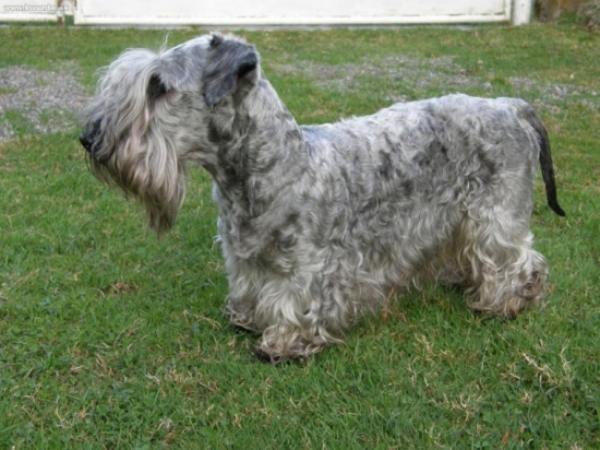 Nácvik na SVETOVKU 09 ČT Lotus