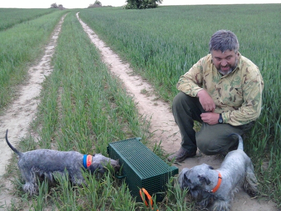 Nácvik na škodnú - hlási aj cvičiteľ !!!