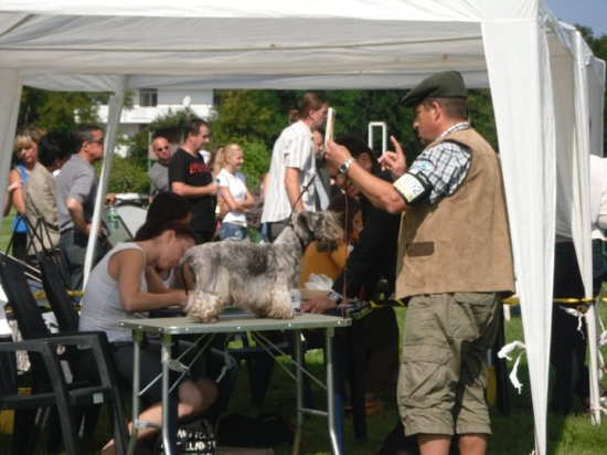 MVP- Dostihovka BA. Amadeus Nartoun Reca ( 15 mes.)