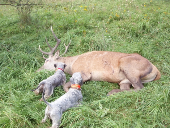 Nečakaná dohľadávka.
