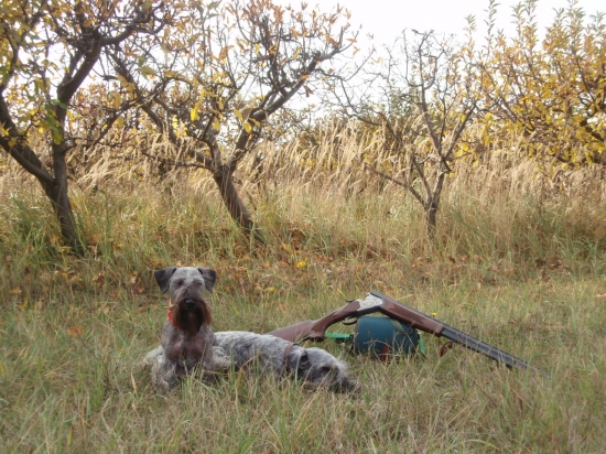 Prvá tohtoročná. Odložení ČT.