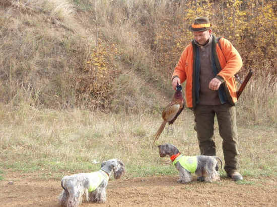 Amadeus  na prvej spoločnej poľovačke