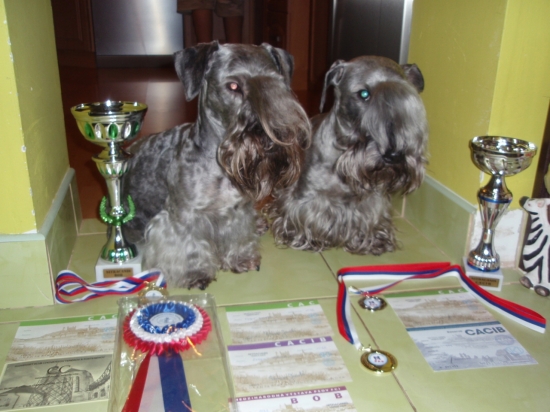 Víkendový výstavný maratón NR