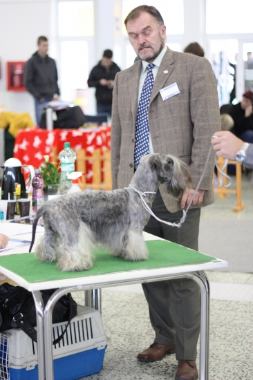 posudzovanie na KV. MVDr. Seman a Amadeus Nartoun Reca