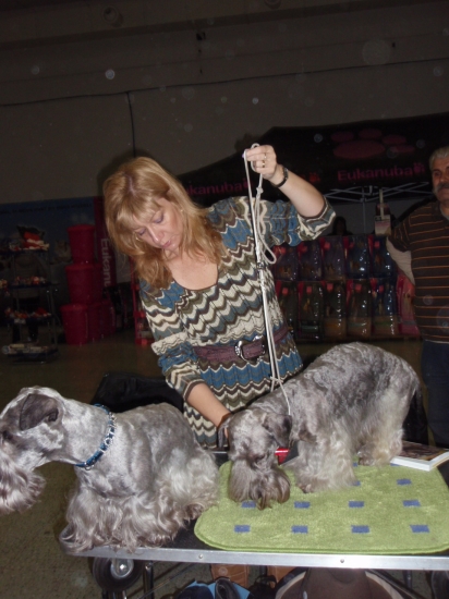 Bez tejto zanietenej mačičky by to vôbec nešlo :-))