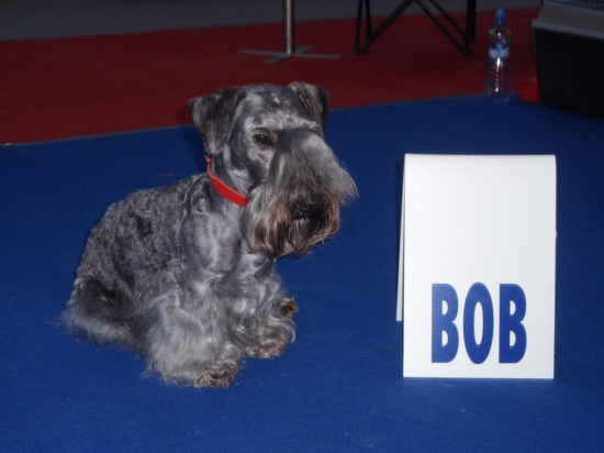 ŠVT - Viničné 3.3.2012.