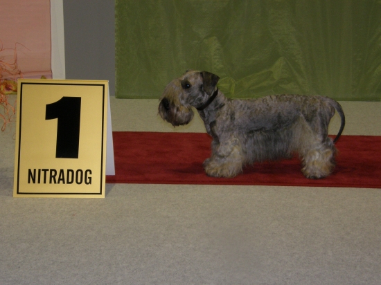 Amadeus Nartoun Reca, MVP NR 25.3.2012.