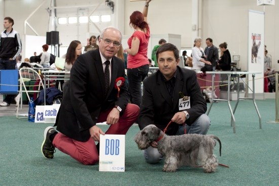 Amadeus Nartoun Reca, MVP Incheba BA 13.5.2012.