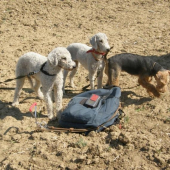 Príprava na norovanie