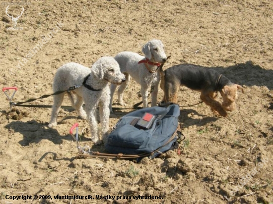 Príprava na norovanie