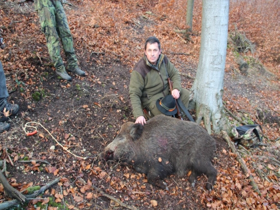 Hosťovská . 3 výstrely-2kance a prasa