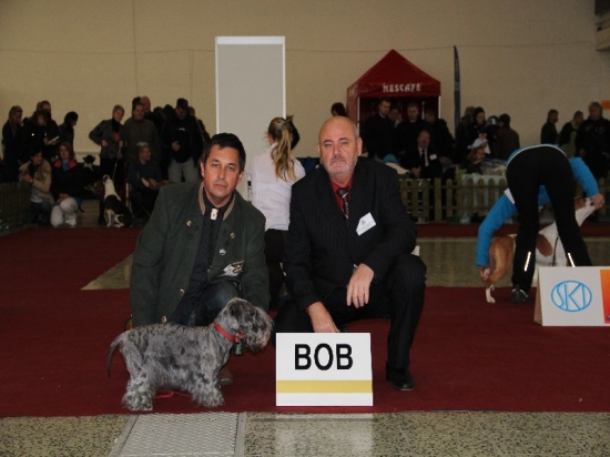 AMADEUS Nartoun Reca. V1,CC,CAC,KV,BOB