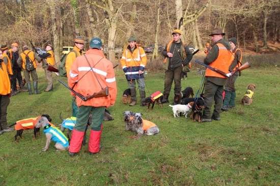 Pred pohonom na diviaky :-)