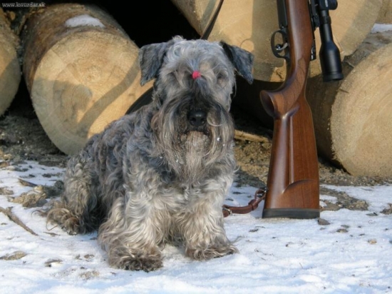 odložený ČT- Č. Balog - Vydrovo