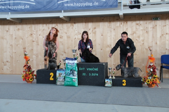 Špeciálna výstava teriérov.