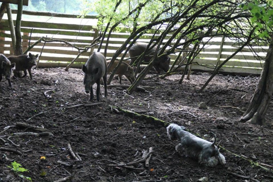 Trocha sme trénovali