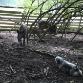 Trocha sme trénovali