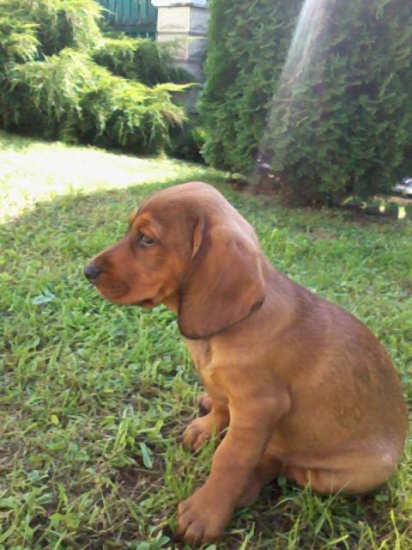 PROSÍM O POMOC.!!!!!