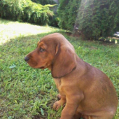 PROSÍM O POMOC.!!!!!