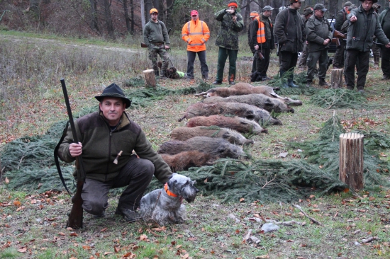 Spoločná na diviaky v krásnom prostredí Karpát. 15.11.