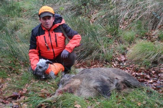 Spoločná na diviaky v krásnom prostredí Malých Karpát. 15.11.