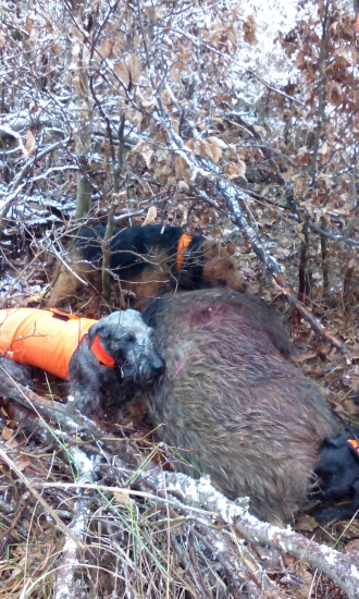 Lotusko vo svojom živle.