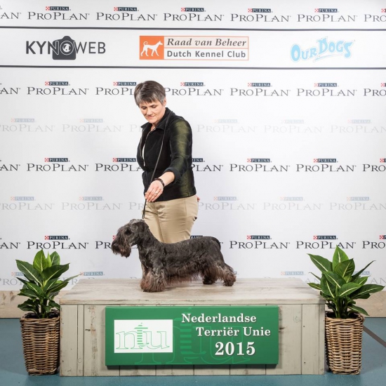 Naše šteniatko v Holandsku žne úspechy