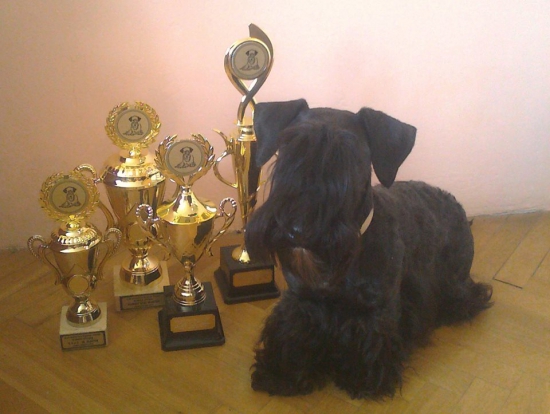 Lotuskova dcéra super prekvapila všetku konkurenciu na klubovke ČT v Česku :-)