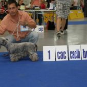 ČT LOTUS Zlatá Chara