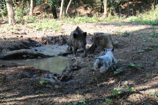 Trocha sme trénovali pred sezónou.