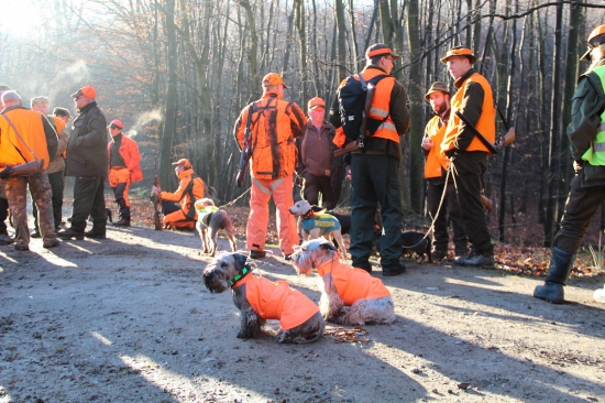 Štefánska spoločná