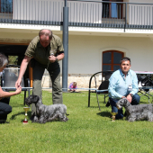 Medzinárodné dni Českých teriérov 6.-8.5.2016 Telč( účasť 8 štátov ) -CZ. KV KCHČT