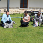 Medzinárodné dni Českých teriérov 6.-8.5.2016 Telč( účasť 8 štátov ) -CZ. KV KCHČT