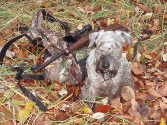 Odloženie-Lotus po pohone