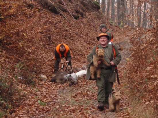 aj takto sa odvoláva pes od ďalšieho diviaka a líšky