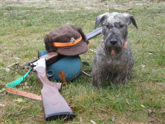 Dnešná poľovačka na drobnú- Lotusko