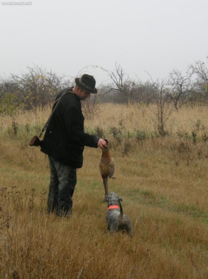 Daj sem toho bažanta!