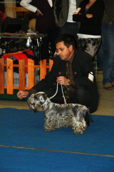 LOTUS ZLATÁ CHARA-predvedanie