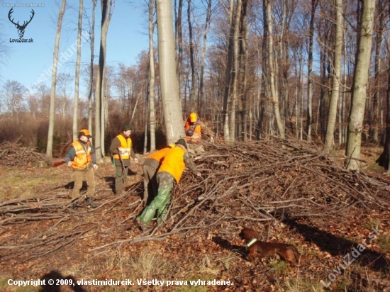 keď kuna zblbne psov a potom ich treba vytiahnuť