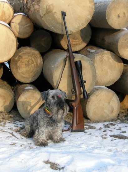 ČZ 550 LUX 7x64, Meopta 7x56, stráži ČT