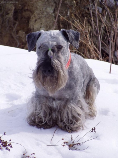 Na pochôdzke revírom.