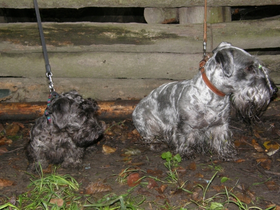 Moja úderná 2-ka. Lotus a Amík...