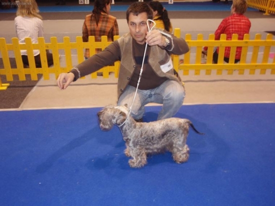 LOTUS ČT KV Viničné