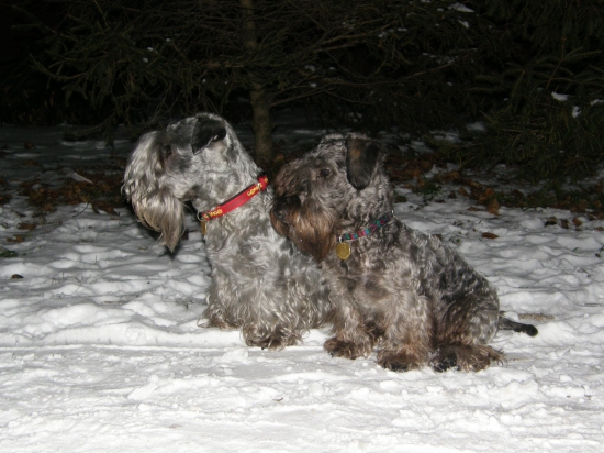 moji pomocníci Lotusko a Amík ( Amadeus)